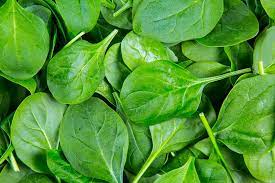 chopped-spinach